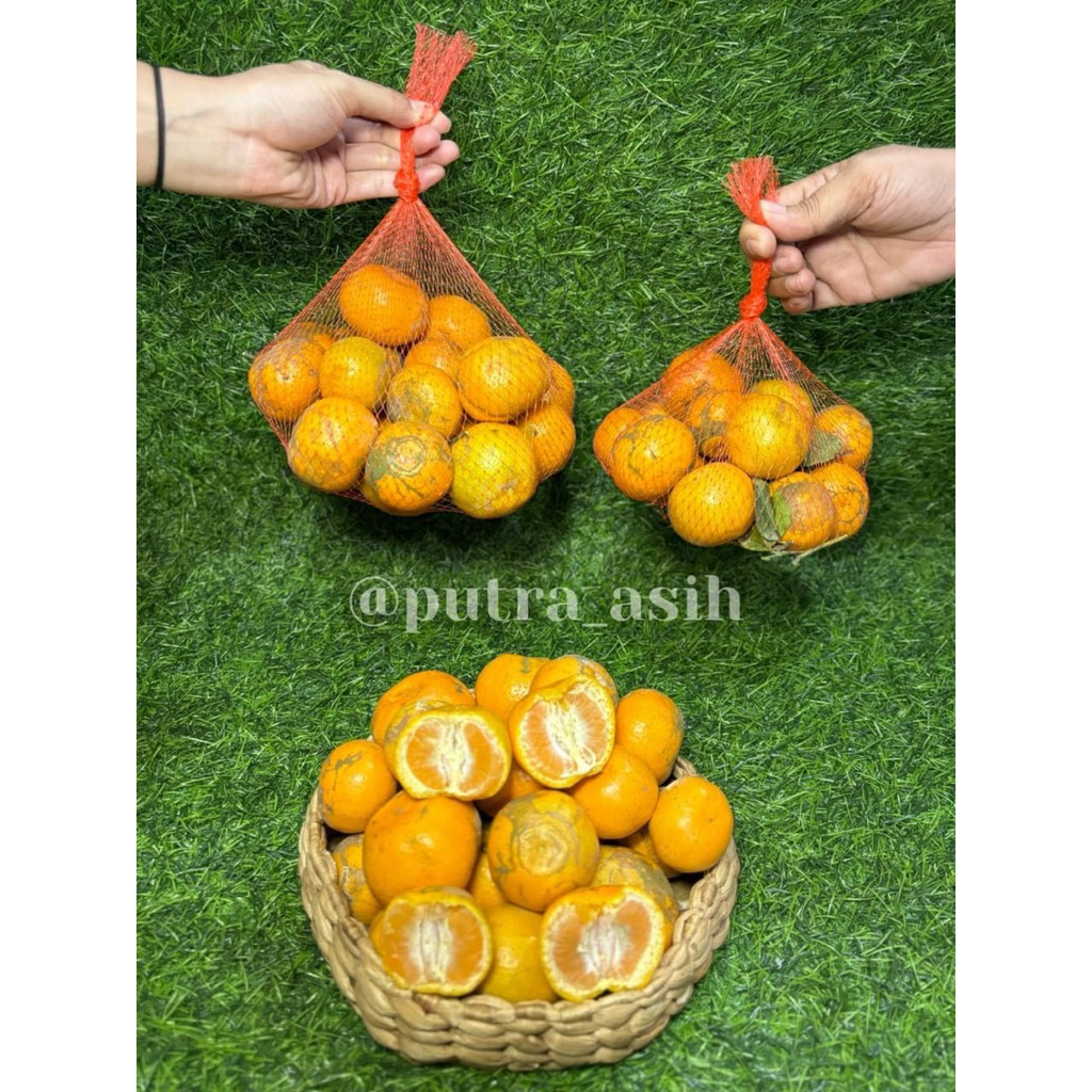 

Jeruk Santang Lokal ( buy 1kg free 1kg )