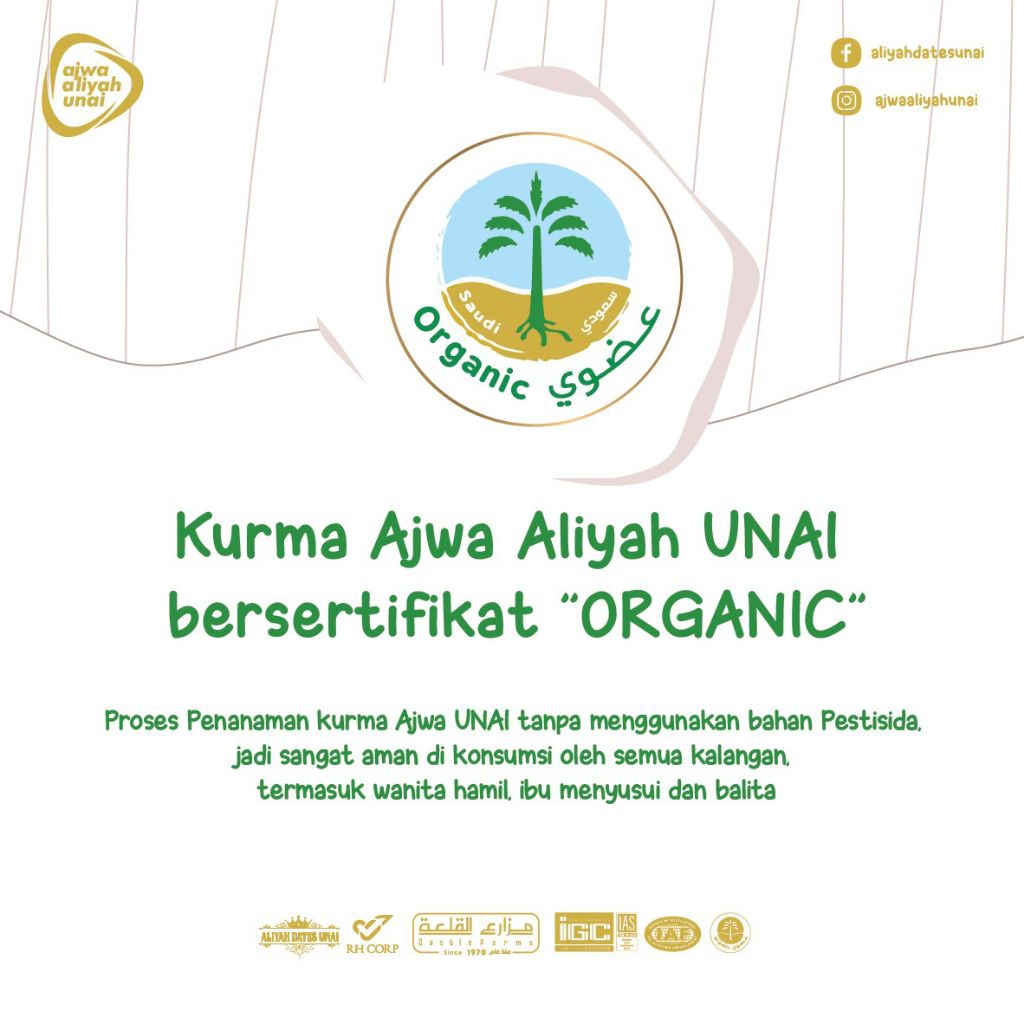 

Kurma Ajwa Aliyah UNAI