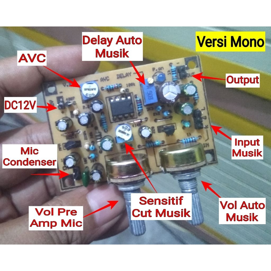 KIT AUTO MUSIK REMOVER MONO / STEREO + PRE AMP MIC CONDENSER