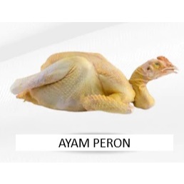 

Ayam Merah / Tua / Peron (FRESH & FROZEN) HARVESTLAND
