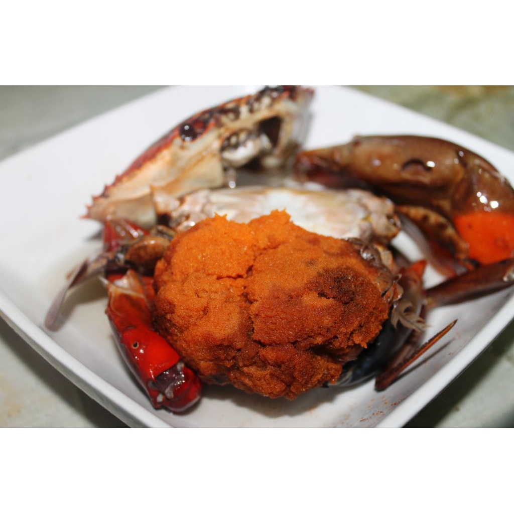 

Fiffa Jaya Crab Egg, telur rajungan fresh Frozen, telur kepiting murah