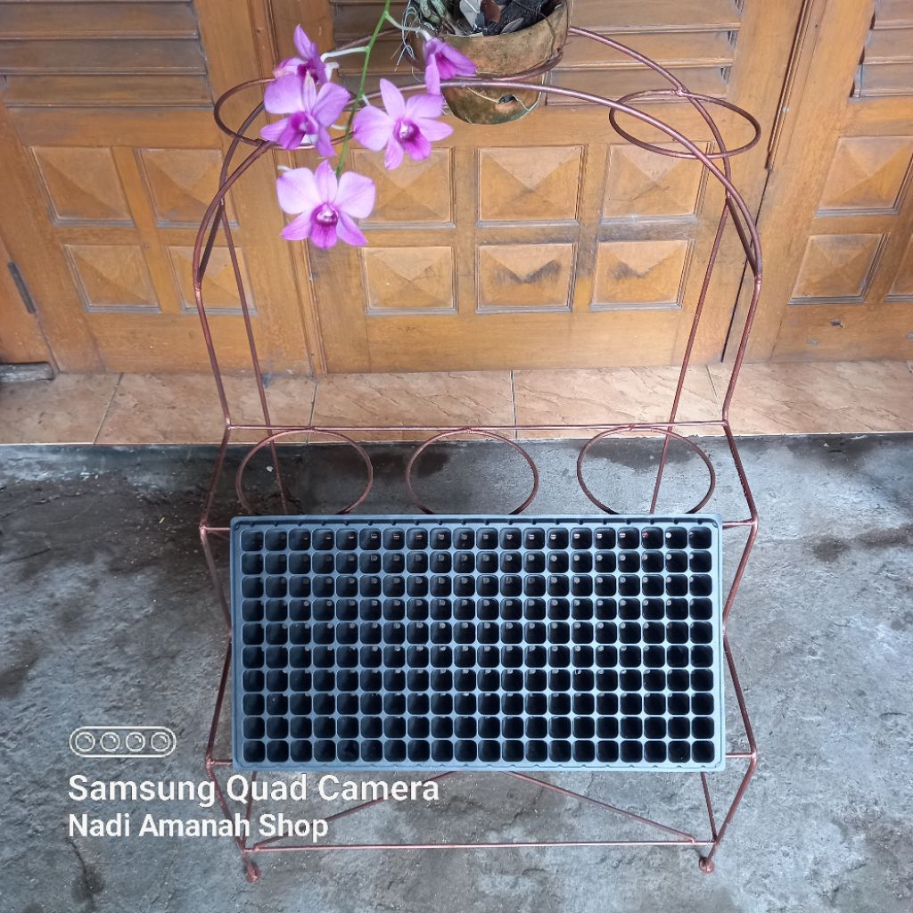 Pot Tray Semai Tanaman Dan Anggrek 200 Lubang