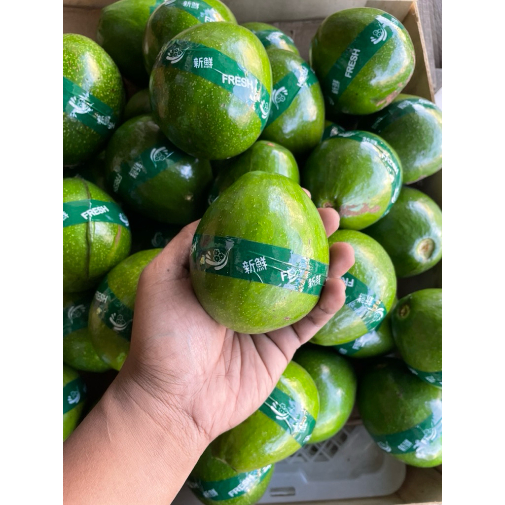 

ALPUKAT MIKI PREMIUM FULL GARANSI