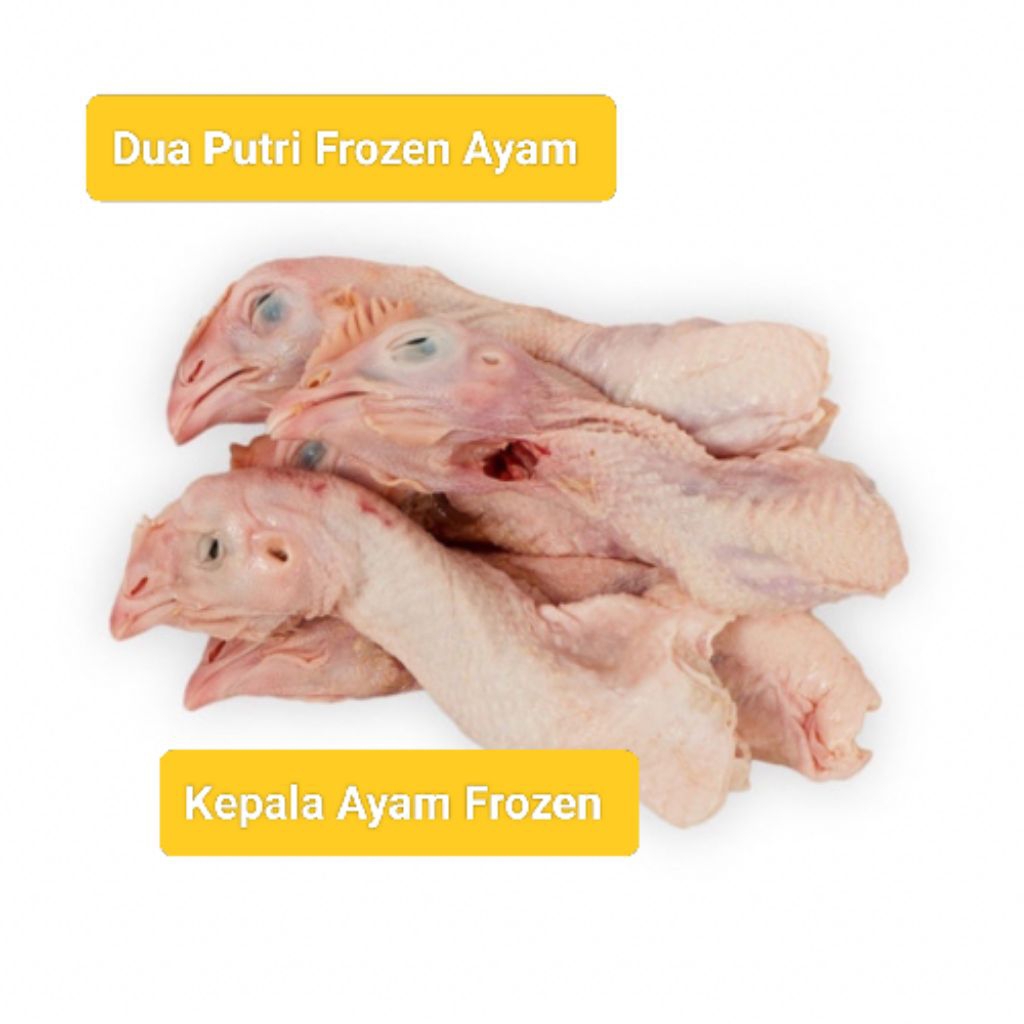 

Kepala Ayam Frozen fresh