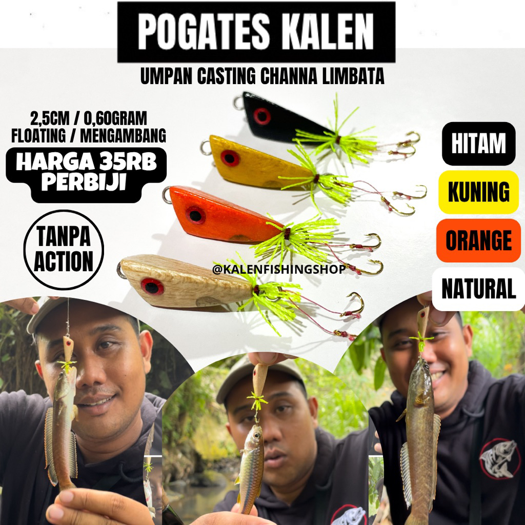 POGATES KALEN / UMPAN CASTING CHANNA LIMBATA