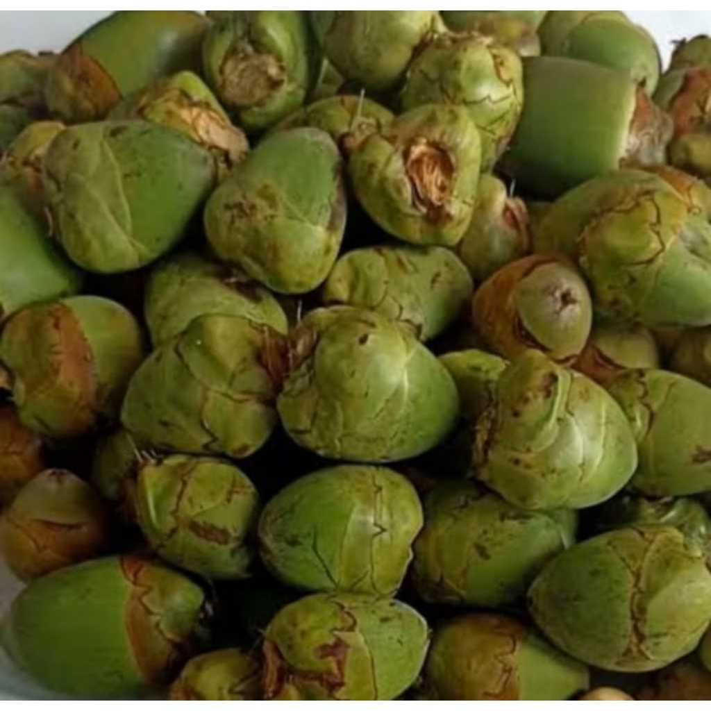 

BELULUK KELAPA ATAU KELAPA KECIL HERBALL. paketan 1 kg