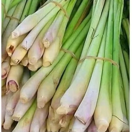 

serai dapur pres bersih,250 gr