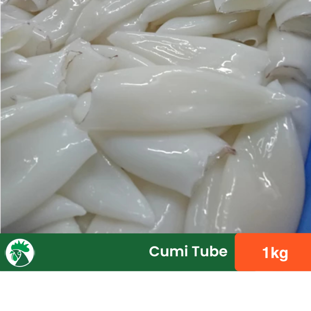 

Cumi Tube 1kg isi 4 - 5 | Tergantung Size / Cumi Tube 1kg