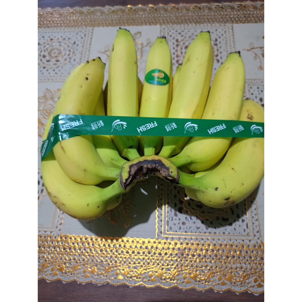 

Buah Pisang Cavendish Pasar Online Murah