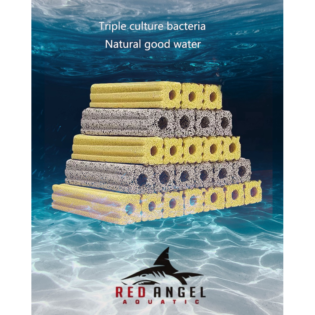 MOMOGI MEDIA BIO BLOCK BACTERI HOUSE PREMIUM