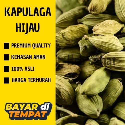

Kapulaga Hijau Premium Termurah/Kapulaga India Arab/Green Cardamom/Kapol