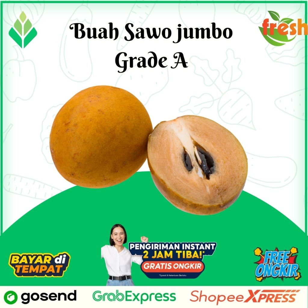 

Buah Sawo jumbo grade A cabutan sekilo isi 5-6 buah /sawo mentah paket datang sawo matang