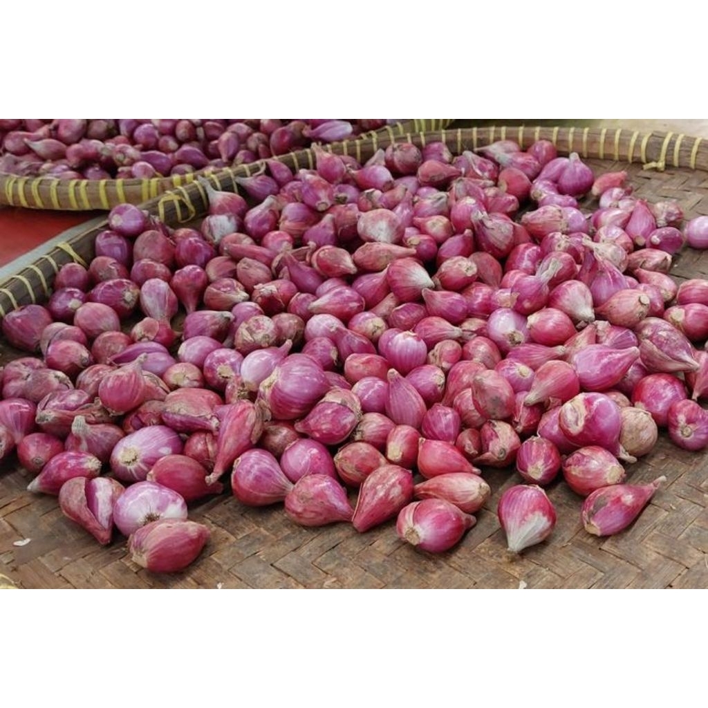 

Bawang merah fresh 500 gram