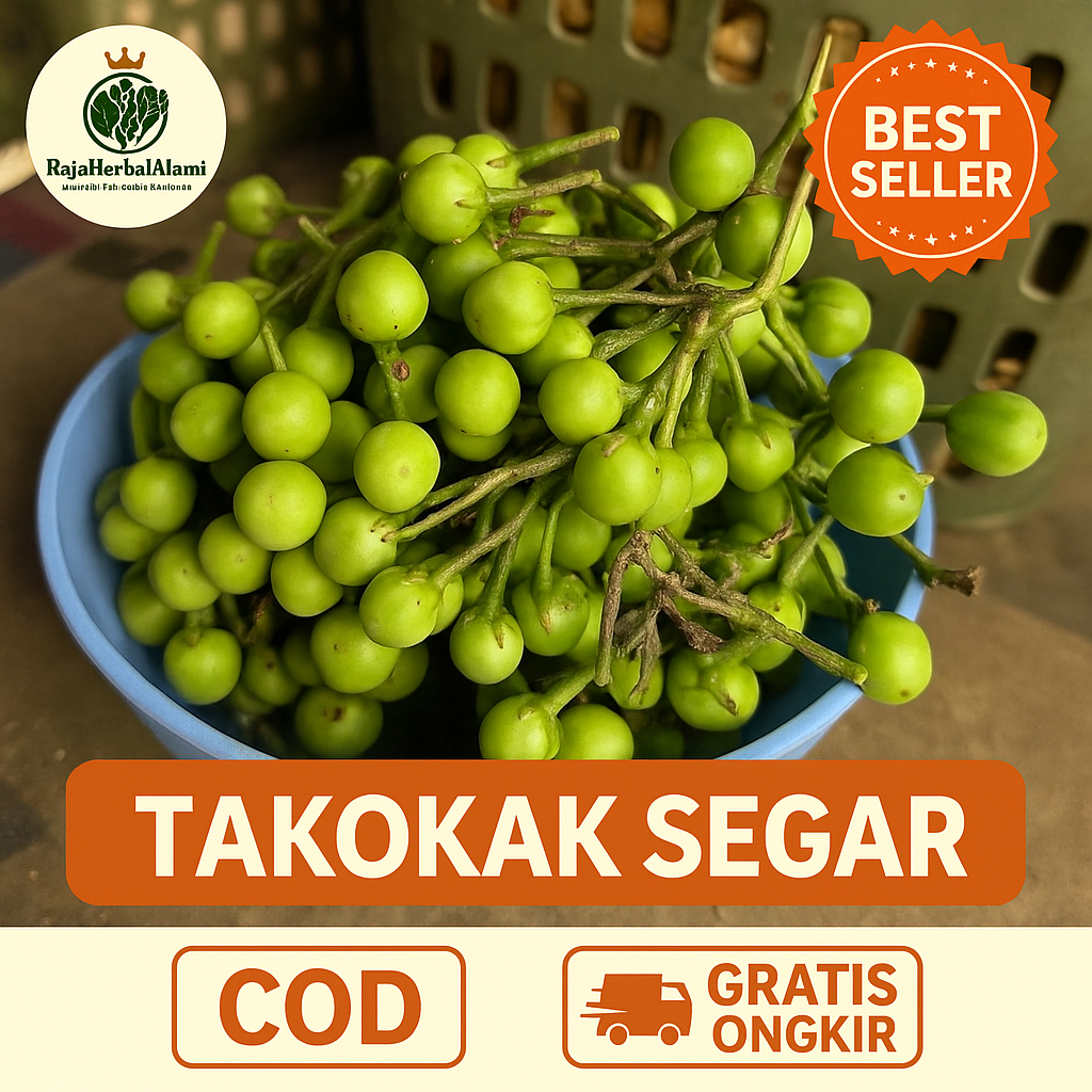 

Buah Tekokak Segar 250 Gram Antioksidan Tinggi