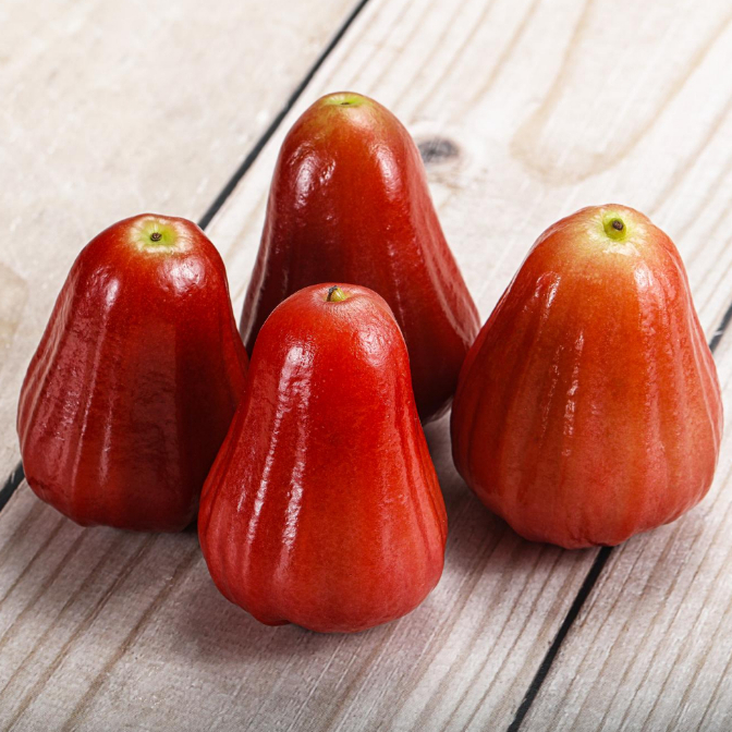 

Jambu Citra / Jambu Air Merah