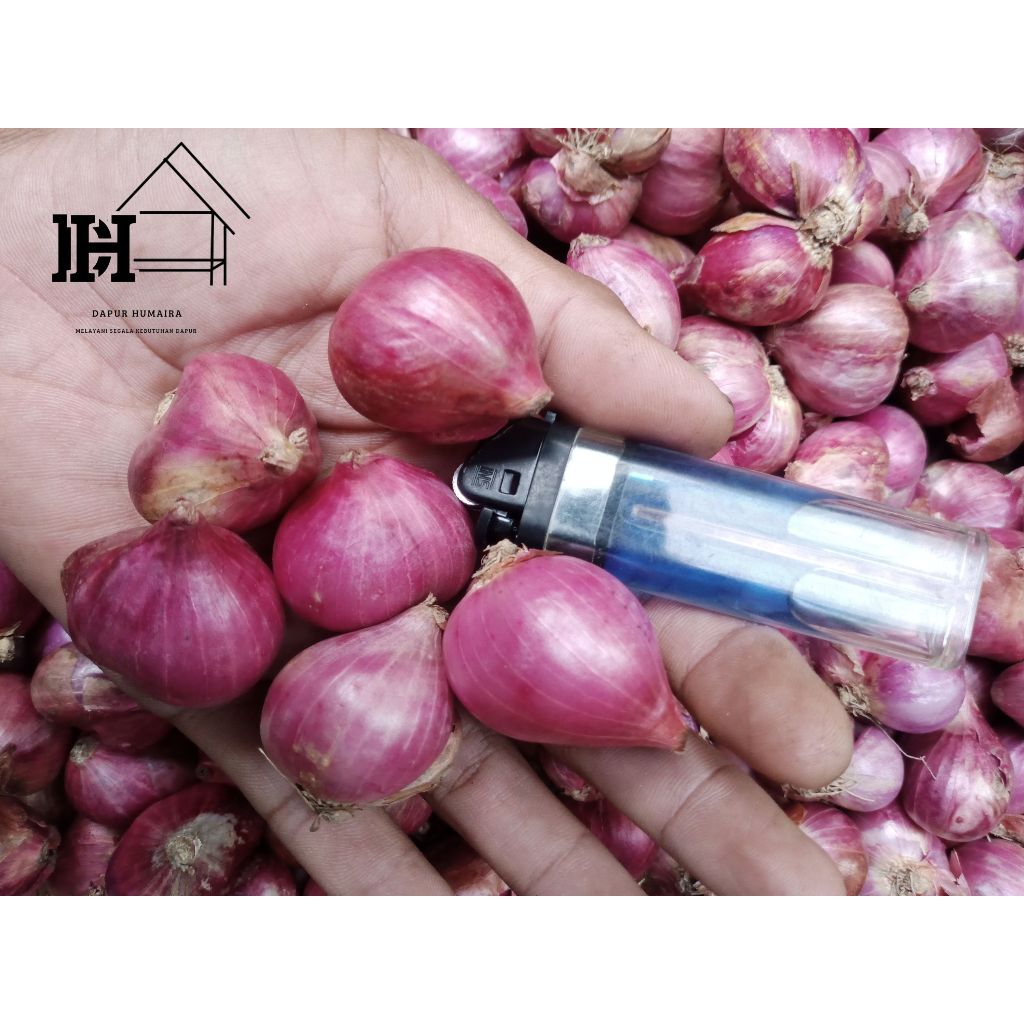 

Bawang merah kering super besar