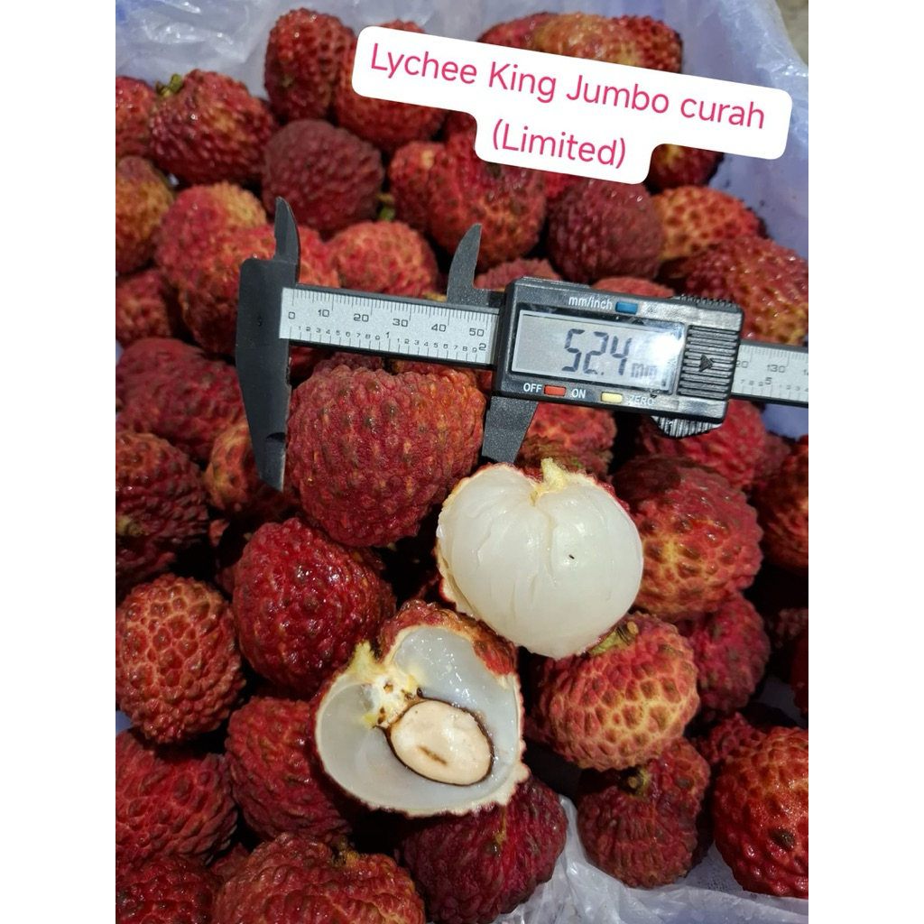 

Lychee King Jumbo Fresh | Lychee Jumbo Import Fresh 1 Kg