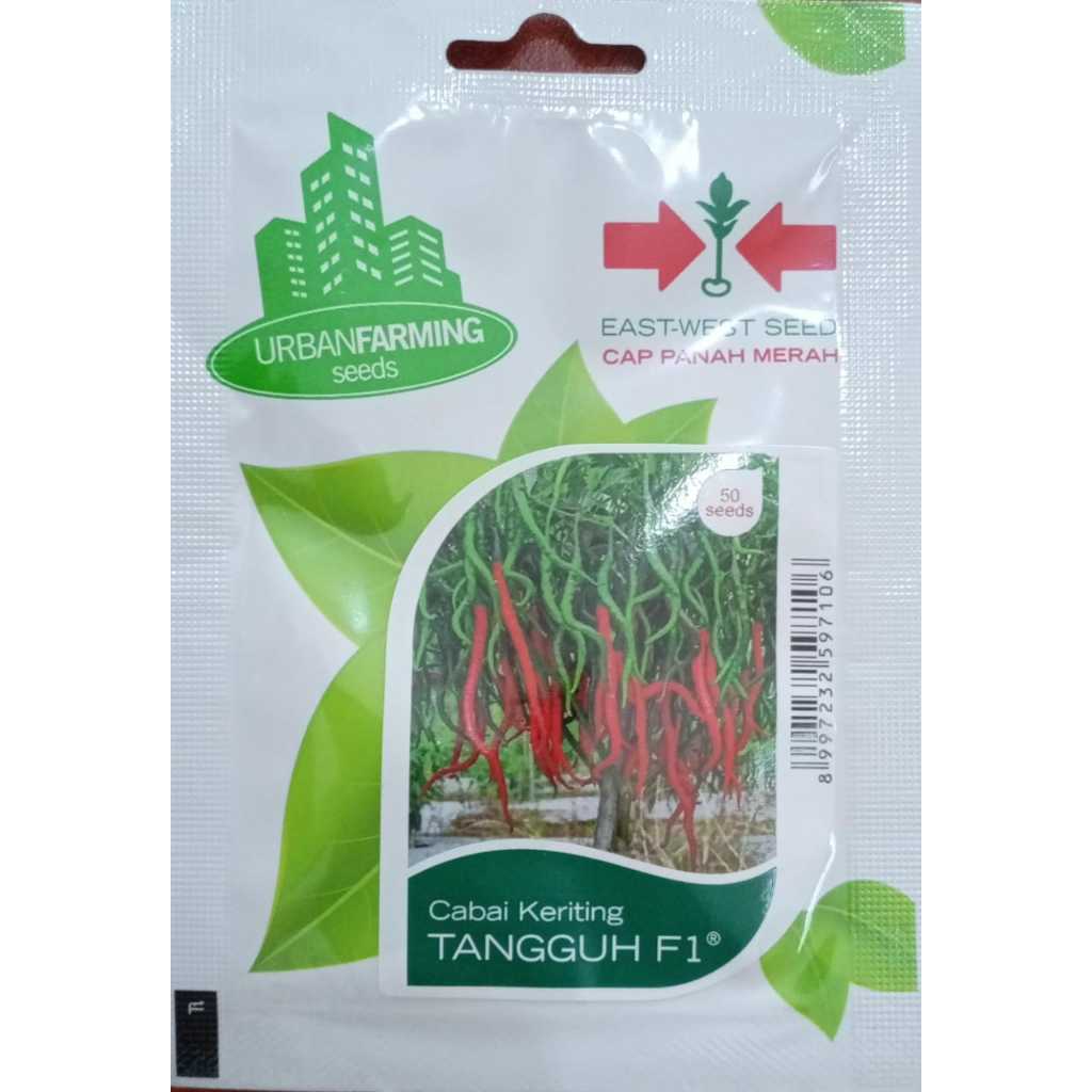 CAP PANAH MERAH - BENIH CABE KERITING TANGGUH F1