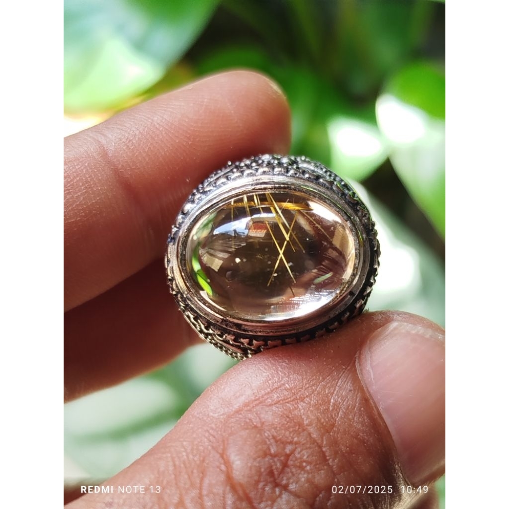 kinyang rambut emas rumpun