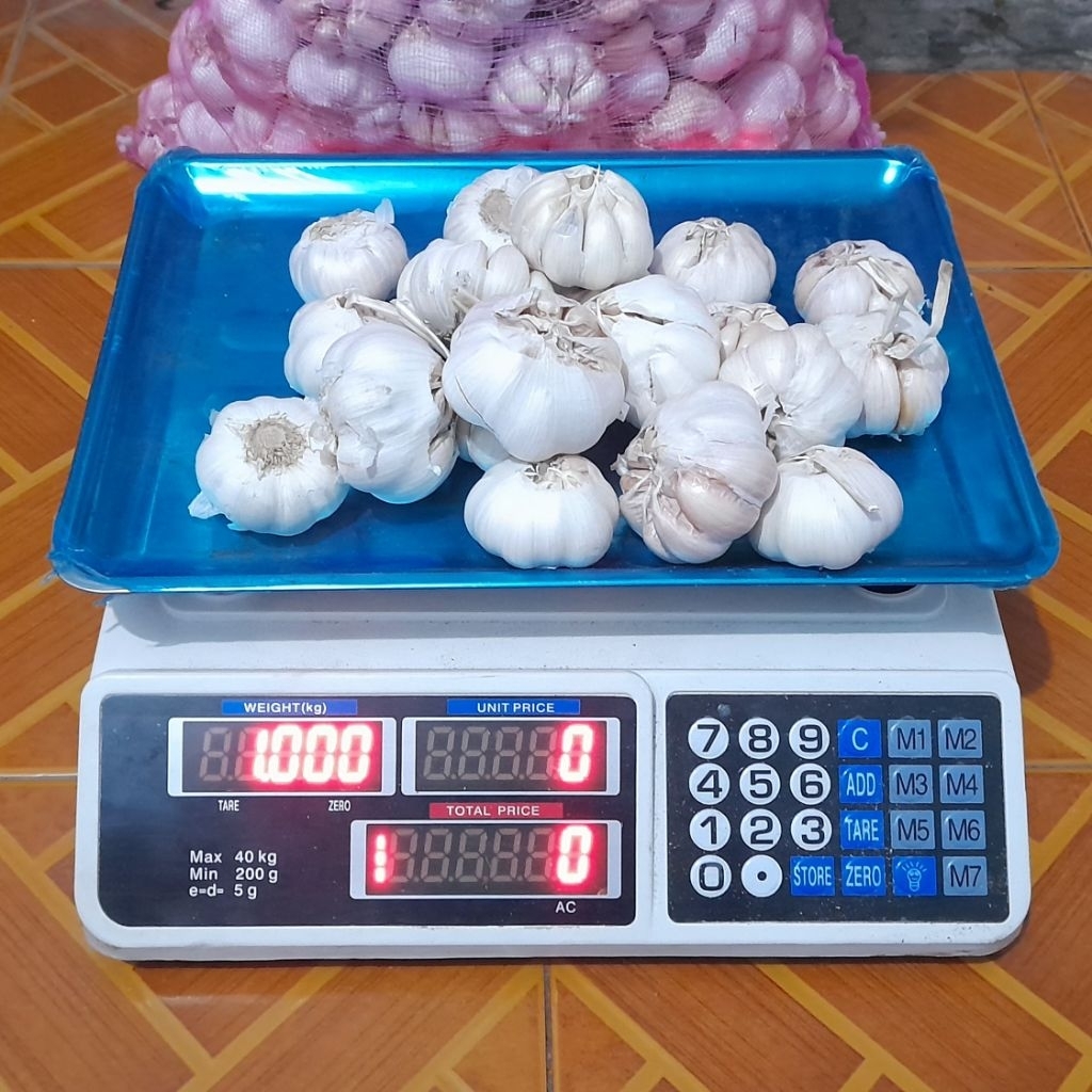 

Bawang putih bersih bumbu wajib masakan harga termurah