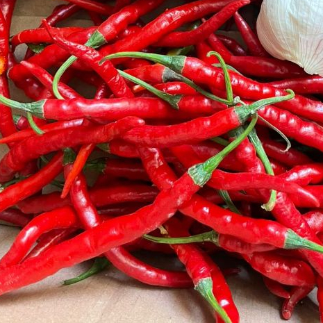 

Grosir cabe merah kriting 1kg kualitas grade A murah