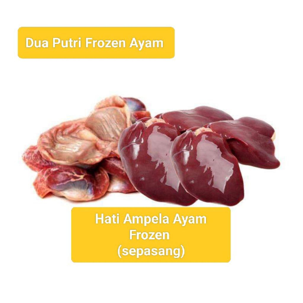 

Ati Ampela Ayam Frozen fresh