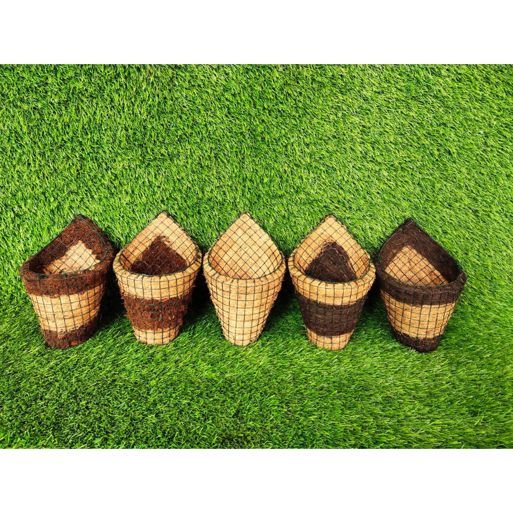 POT SABUT KELAPA UNTUK ANGGREK POT AESTETHIC