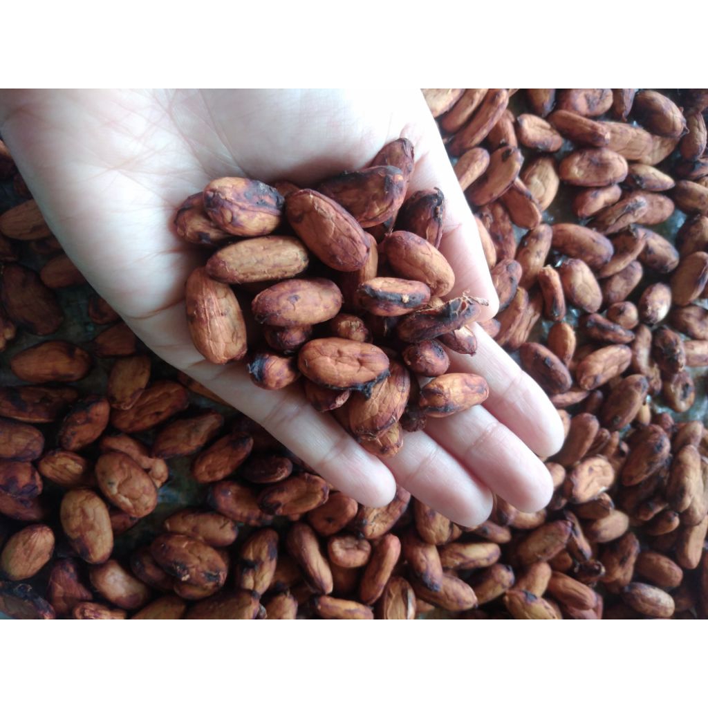 

BIJI COKLAT KAKAO KERING HASIL PERMENTASI 100gr