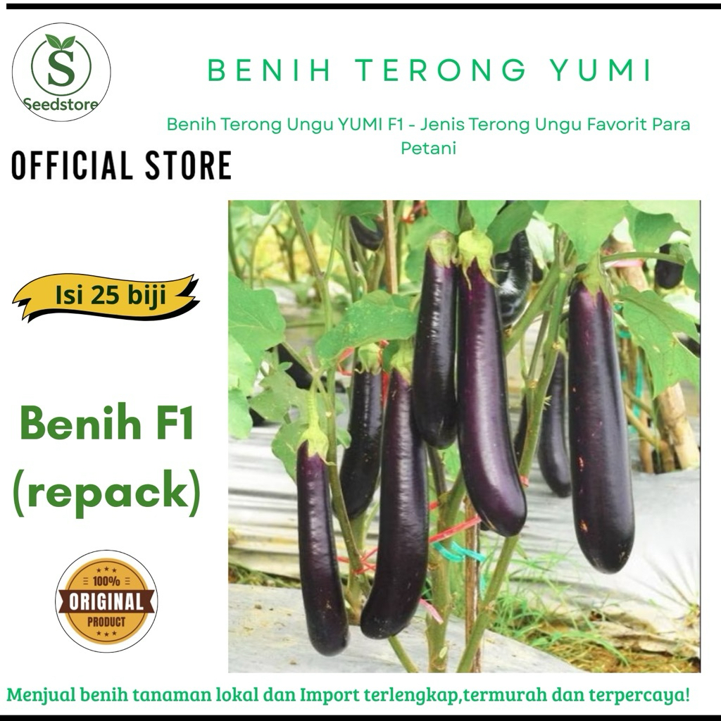 isi 25 biji - Benih Terong Ungu YUMI F1 - jenis terong ungu favorit para petani -seedstore