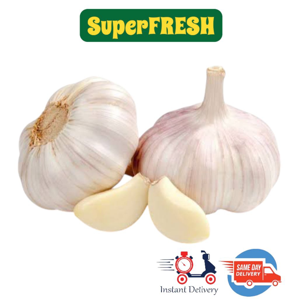 

Bawang Putih Pilihan Berkualitas