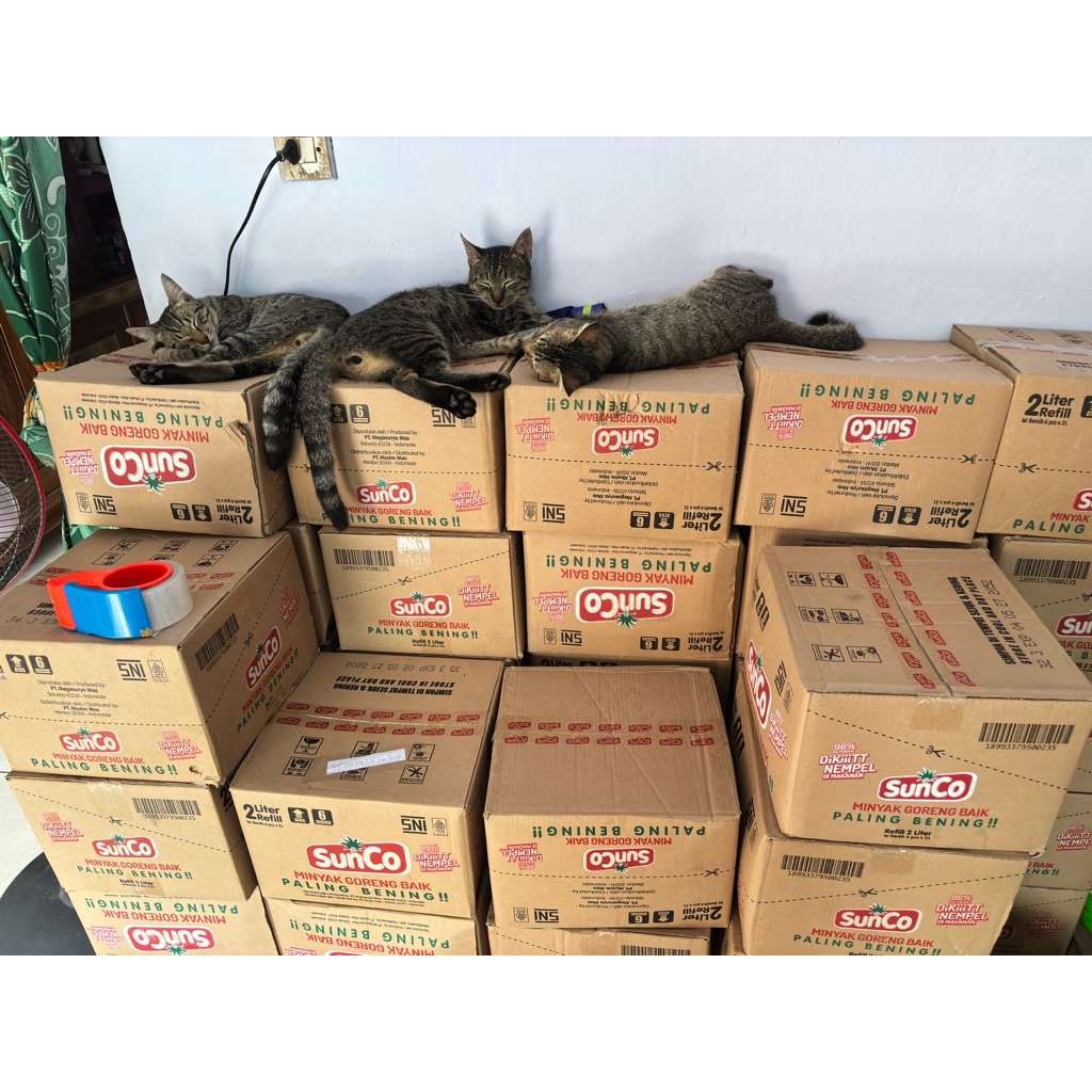 

Minyak Sunco kartonan kemasan 2Liter x 6pcs