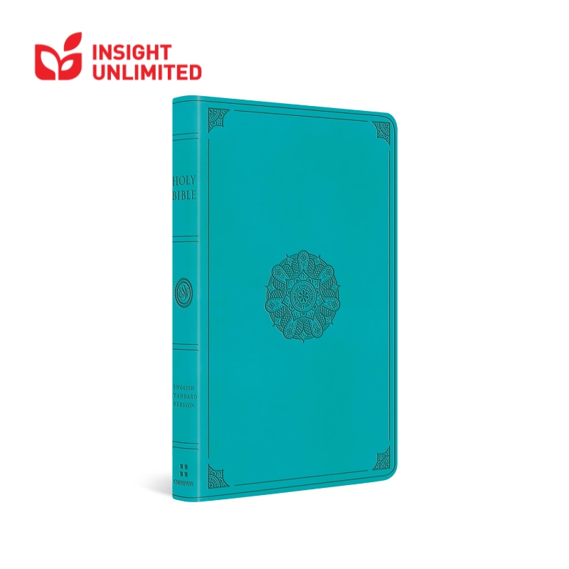 Holy Bible ESV Large Print Value Thinline (Turquoise)