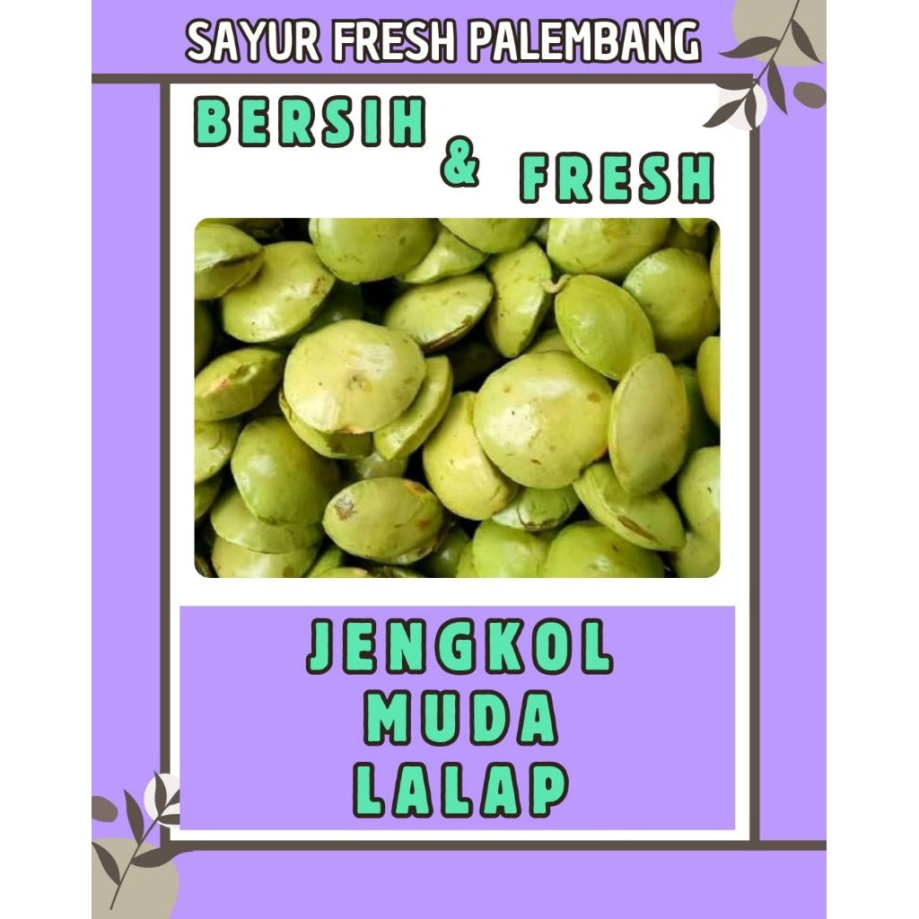 

JENGKOL MUDA LALAPAN - INSTAN PALEMBANG