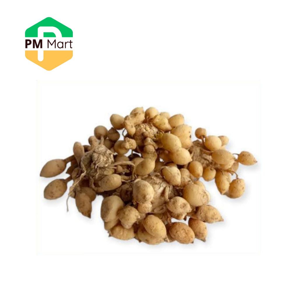 

Kunyit Putih 250 Gram