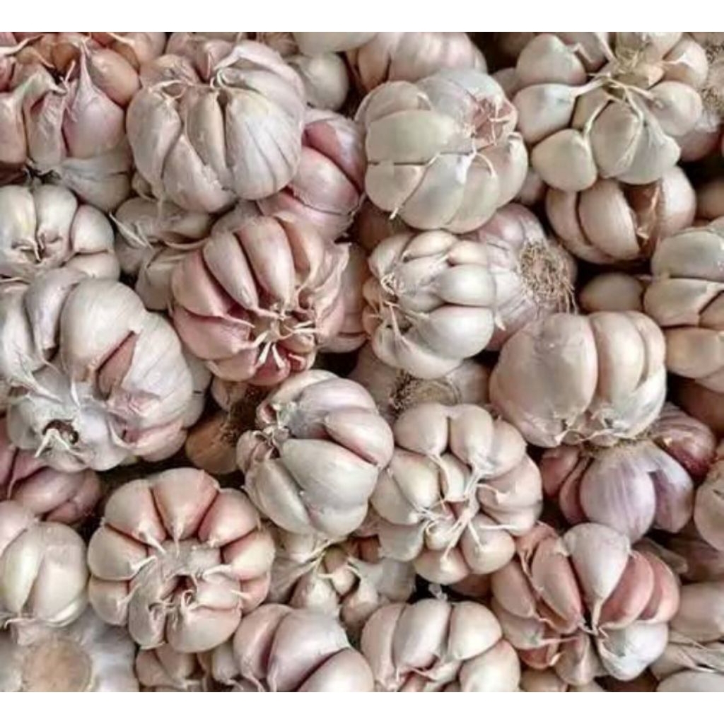 

bawang putih 1kg