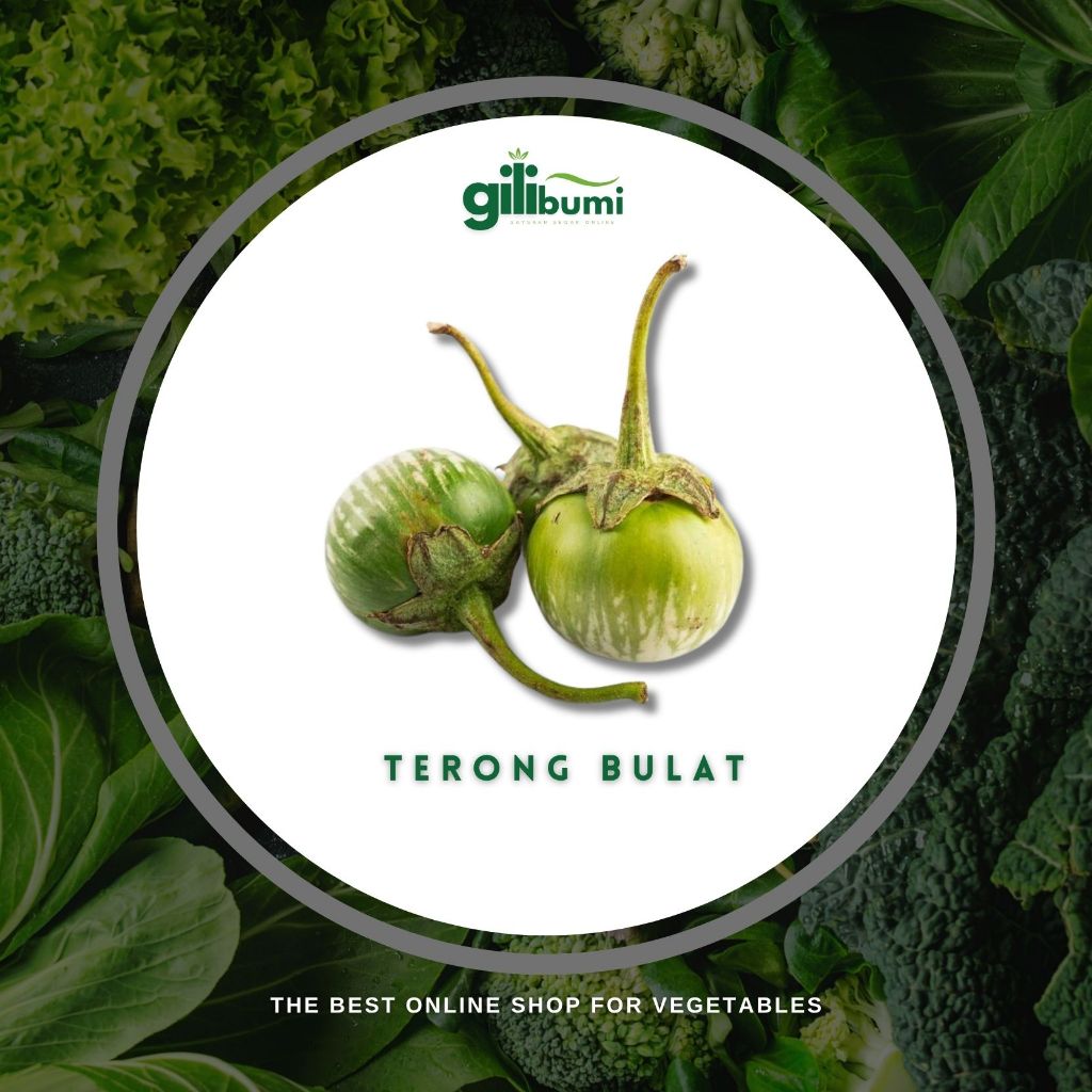 

Terong Hijau Lalap (250gr)