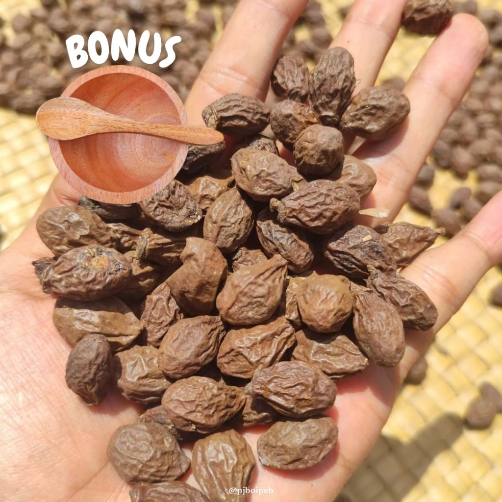 

Segar Buah Eksotis Tempayang (Obat Herbal) Malva Nut Kembang Semangkuk Asli Kampar Riau