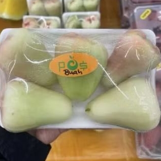 

Buah jambu air hijau jade rose manis premium 500 gram