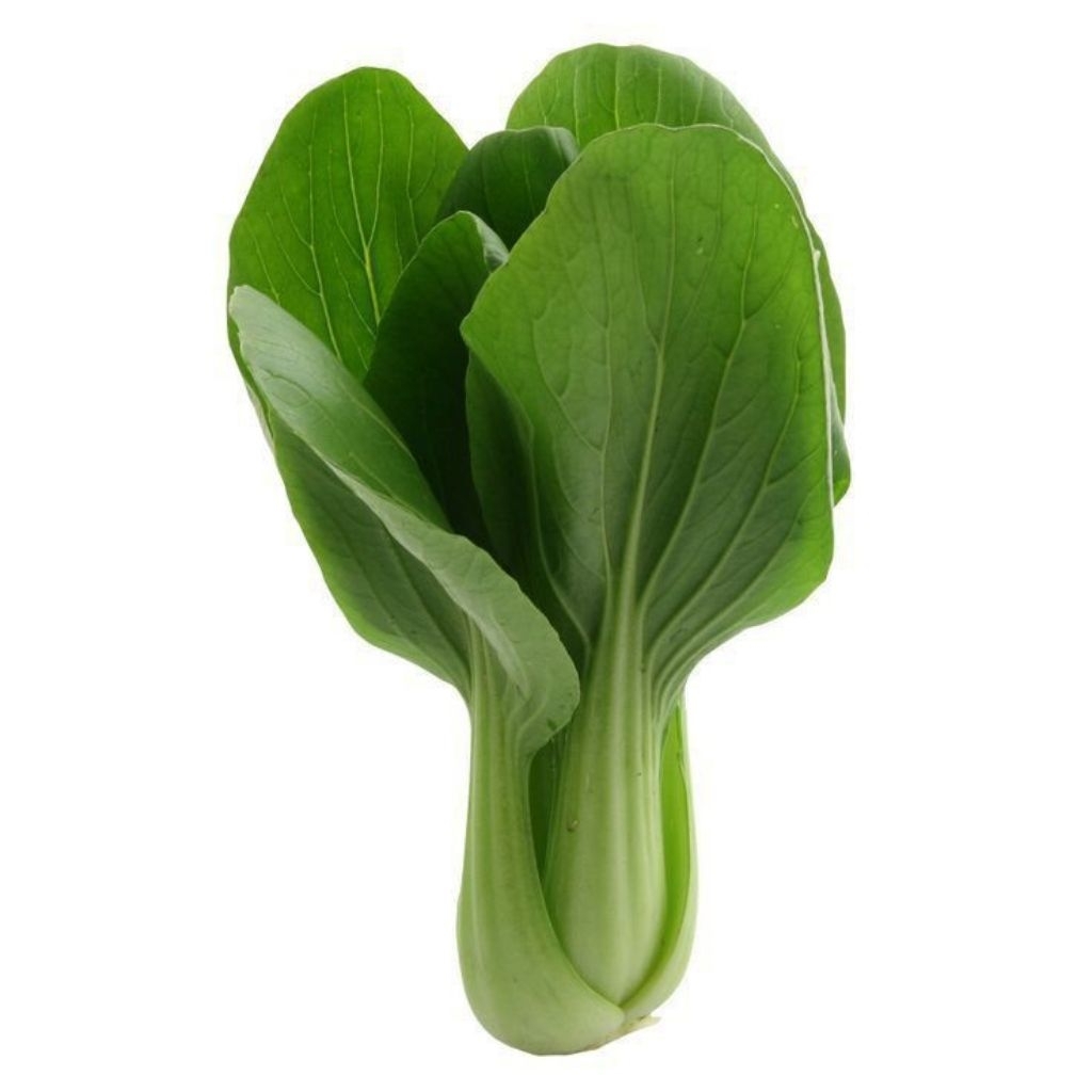 

sayur sawi pokcoy berat +- 250gr pengiriman INSTAN semarang