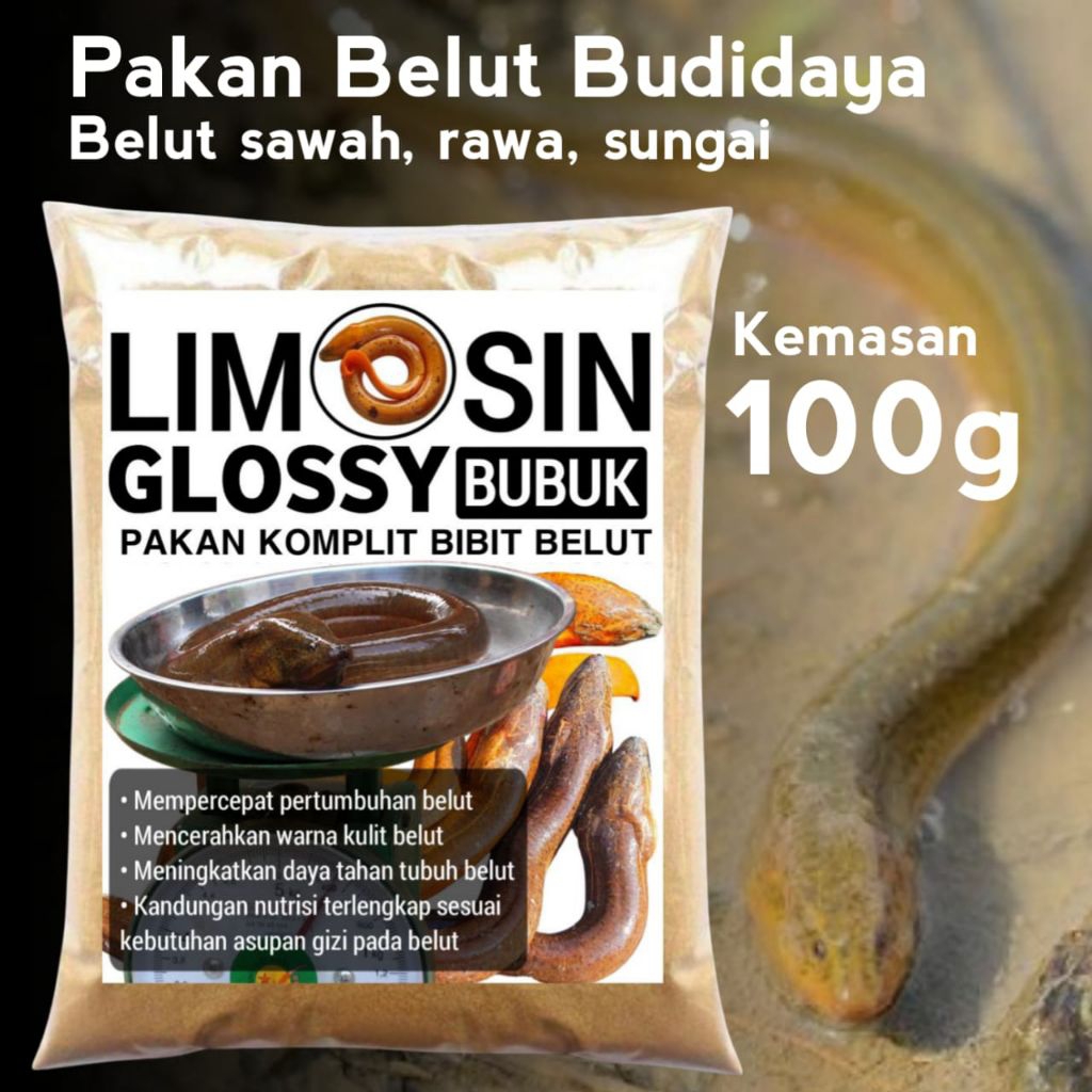 Pakan ternak belut Limosin glossy