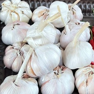 

bawang putih kualitas super 1kg harga murah