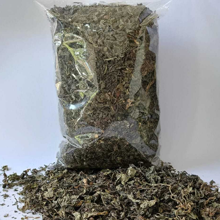 

DAUN TEMPUYUNG | TEMPUYUNG KERING