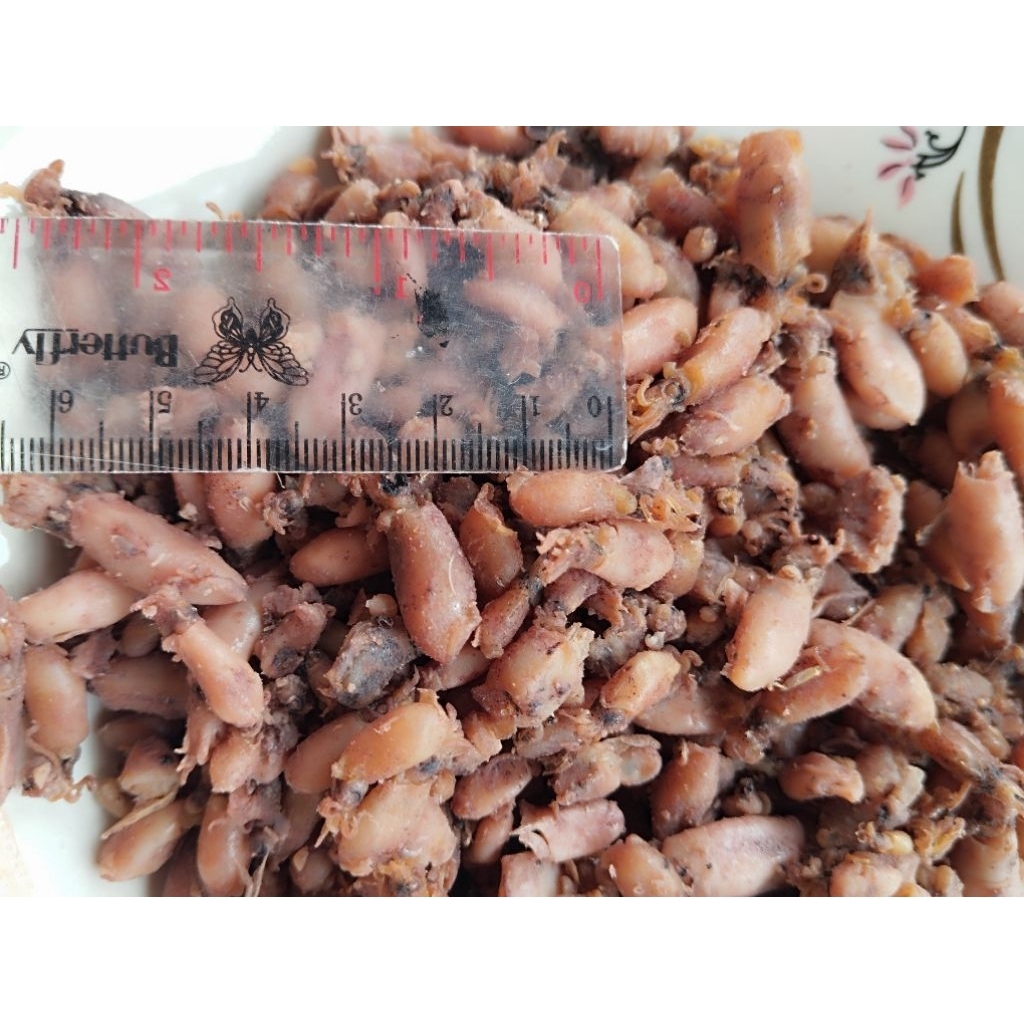 

Baby Cumi Super Premium Asli Medan 250 gram
