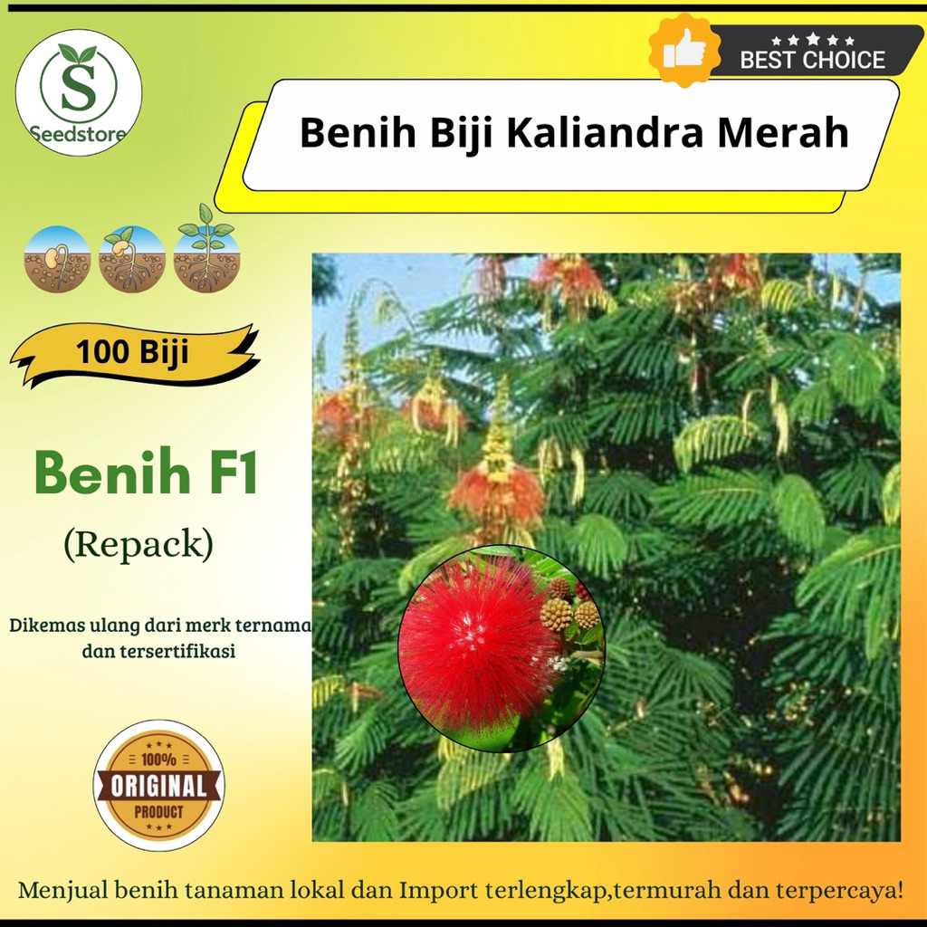 100 Benih kaliandra merah