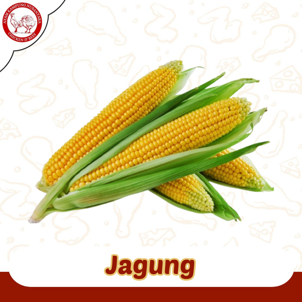 

Jagung Manis Sayur Segar