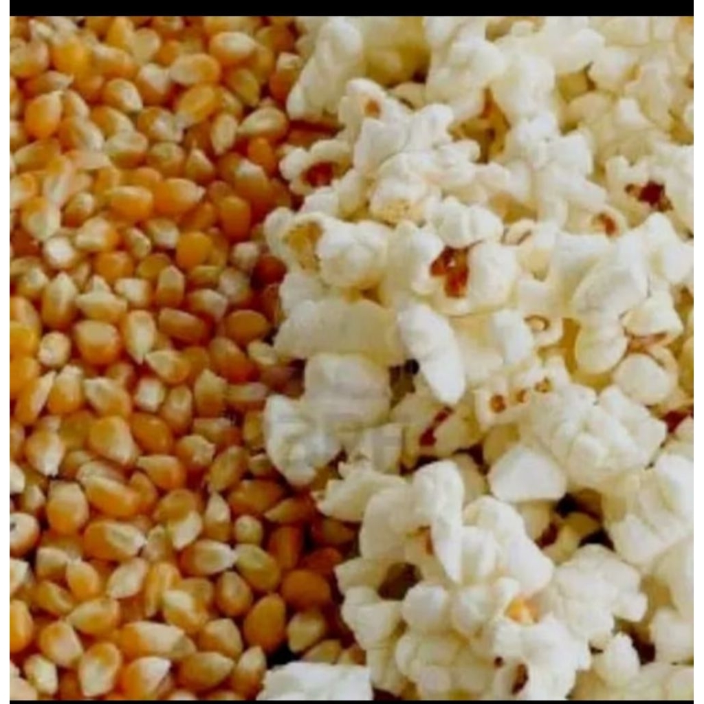 

Persak Jagung popcorn mentah berat 22,6kg