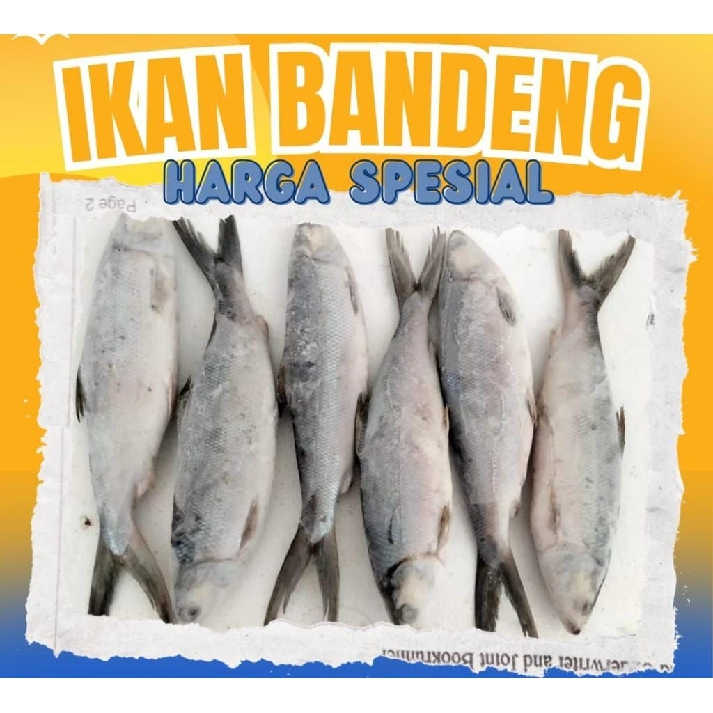 

Ikan Bandeng Beku