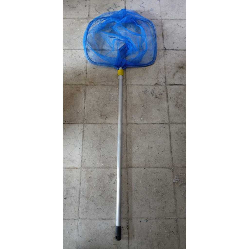 Serokan Ikan besar Tanggok ikan besar 40 cm up