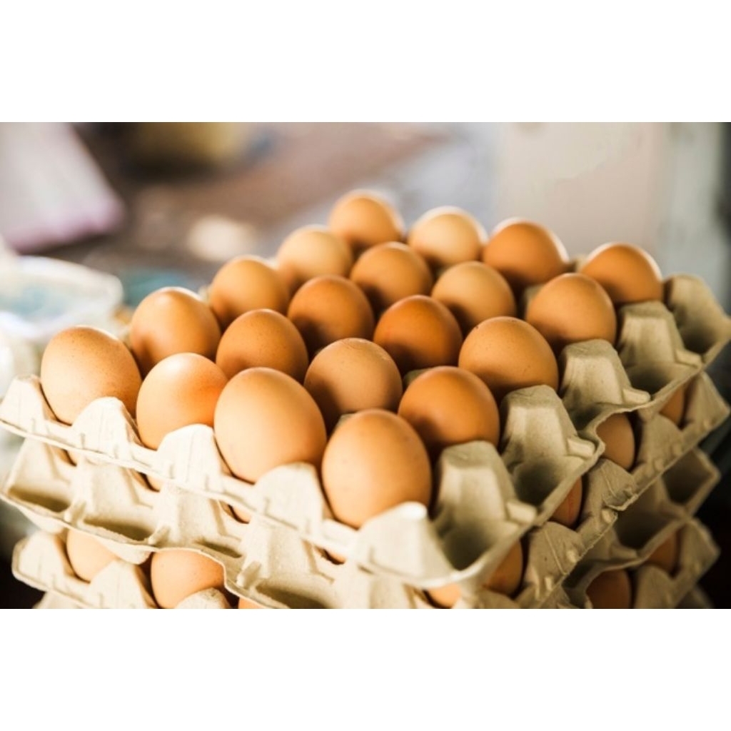 

Telur ayam negeri/eropa ukuran sedang grade D 30 butir