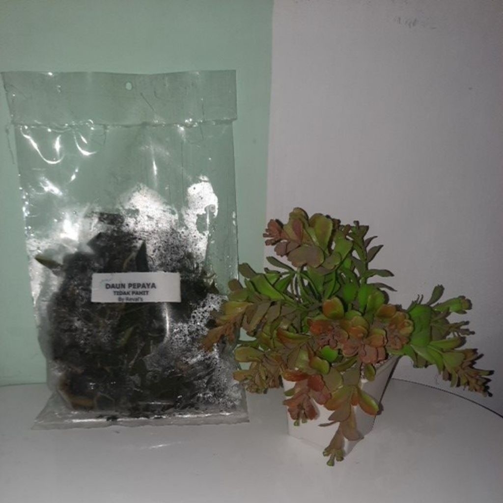 

Daun Pepaya Tidak Pahit